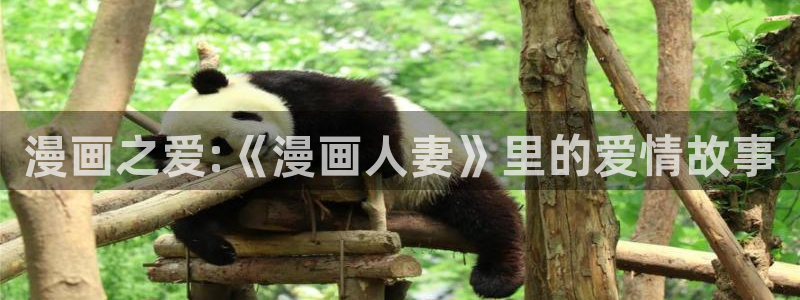 cc腐漫画网