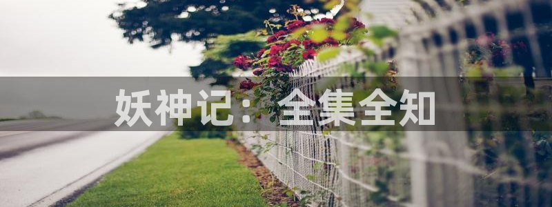 腐漫腐剧