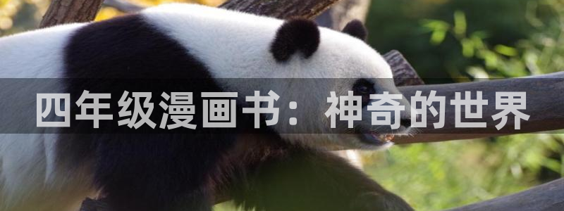 日腐漫推荐：四年级漫画书：神奇的世界