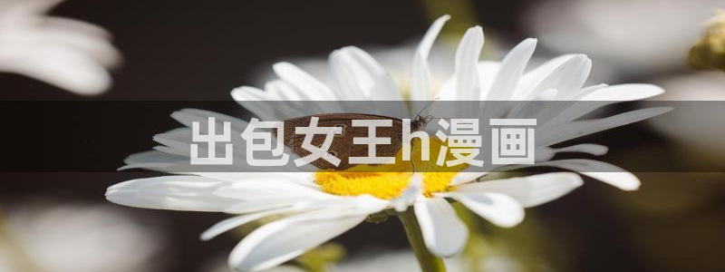 壮受腐漫：出包女王h漫画