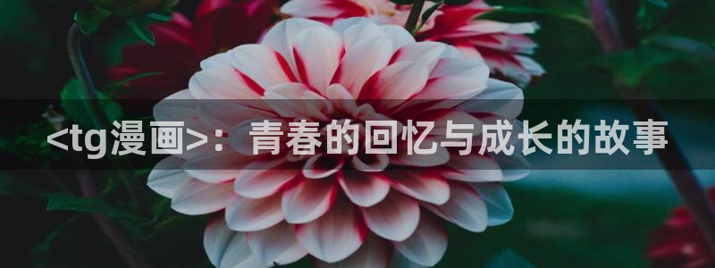 日本双男主腐漫：<tg漫画>：青春的回忆与成长的故事