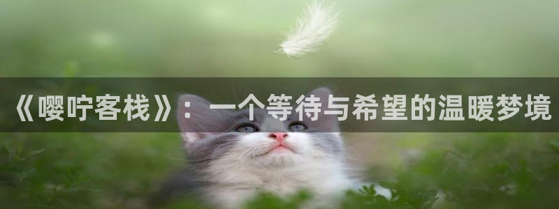 腐漫 韩漫：《嘤咛客栈》：一个等待与希望的温暖梦境