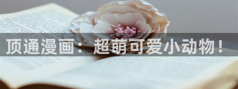动漫腐漫：顶通漫画：超萌可爱小动物！