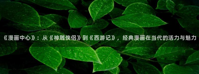 男男腐漫画网：《漫画中心》：从《神雕侠侣》到《西游记》，经典漫画在当代的活力与魅力