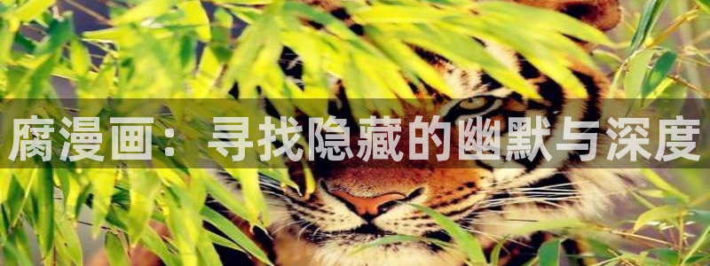 腐漫本子