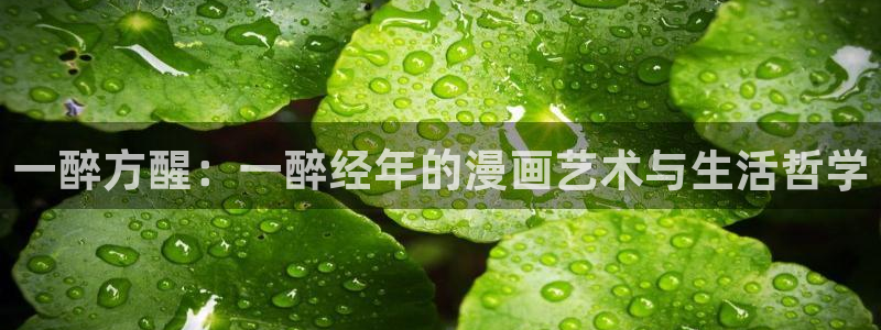 腐漫画网app：一醉方醒：一醉经年的漫画艺术与生活哲学