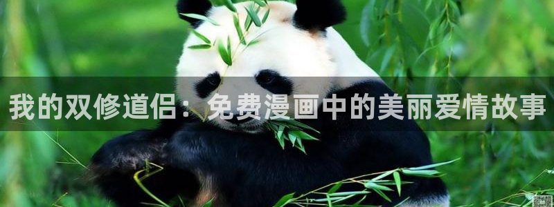 腐漫画免费下载：我的双修道侣：免费漫画中的美丽爱情故事