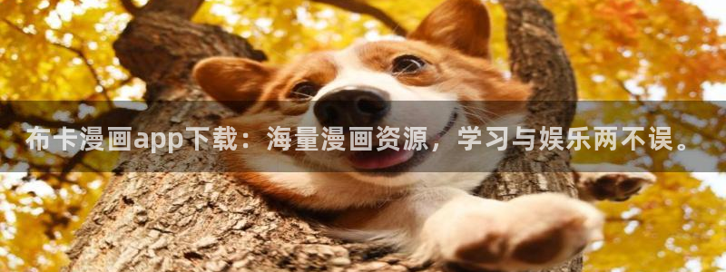 腐漫阅读：布卡漫画app下载：海量漫画资源，学习与娱乐两不误。