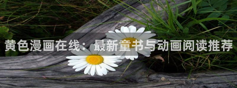 腐漫画免费：黄色漫画在线：最新童书与动画阅读推荐